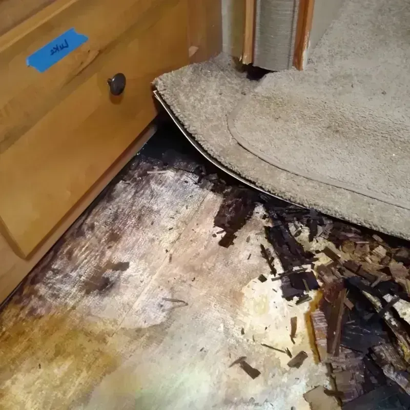 Wood Floor Water Damage in Glenmont, MD